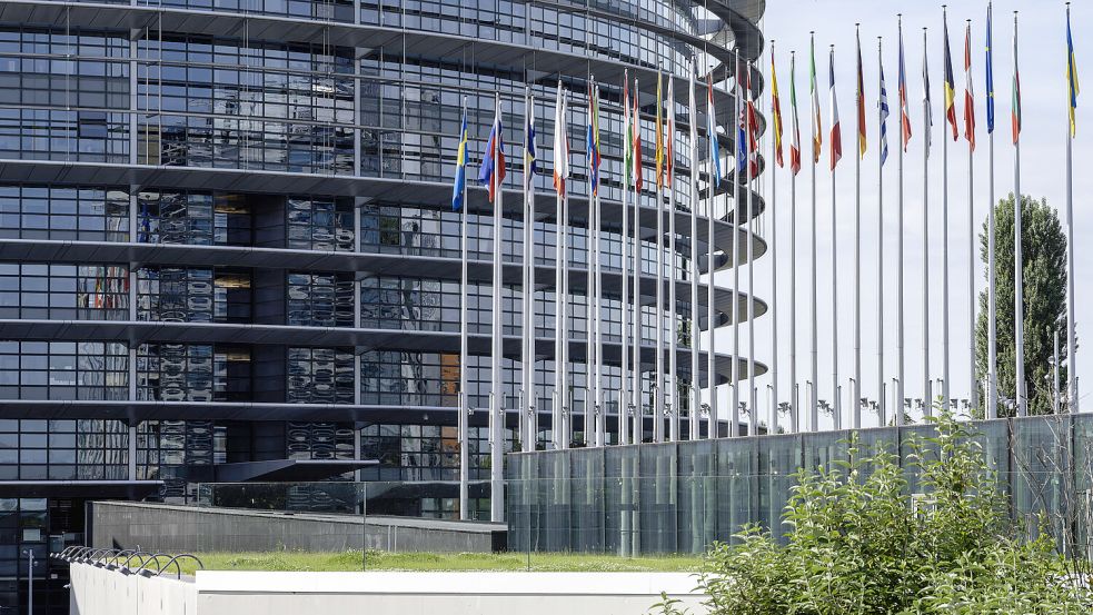 Das Europäische Parlament stimmt am Dienstag über die Reform der Führerscheinrichtlinien ab. Foto: IMAGO/Klaus W. Schmidt