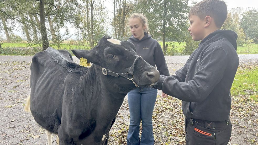 Jurina Bohlen erklärt Magnus Haßbargen, was die Richter im Jungzüchterwettbewerb von Rind und dem Jungzüchter erwarten. Foto: Christin Wetzel