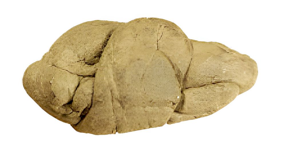 Kaugummis aus der Steinzeit sahen anders als heutige Exemplare aus. Foto: Theis Zetner Trolle Jensen/University of Copenhagen