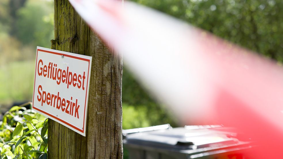 Dieses Symbolbild zeigt eine Absperrung mit Warnschild: Im Falle der Vogelgrippe, wird um betroffene Betriebe eine Sperrzone eingerichtet. Foto: DPA
