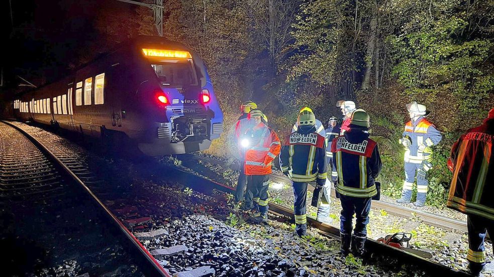 Bei dem Zusammenstoß mit einem Baum wurde kein Passagier des Zuges verletzt. Foto: Thorsten Kremers