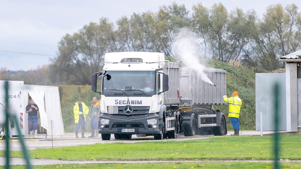Die Vogelgrippe breitet sich im Herbst 2025 immer weiter in Deutschland aus. Hier ein Foto aus Brandenburg. Foto: dpa/Christophe Gateau
