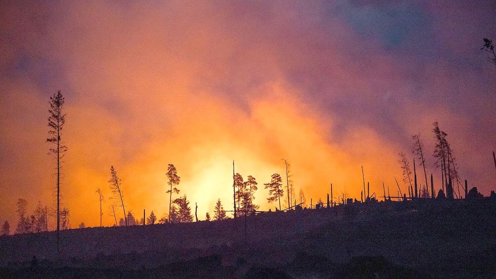 Waldbrände fachen mit ihren Emissionen die Erderwärmung zusätzlich an. (Illustraiton) Foto: Daniel Vogl