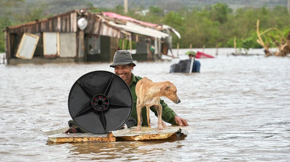 Auch Tiere wurden in Mitleidenschaft gezogen. Foto: Ramon Espinosa/AP/dpa