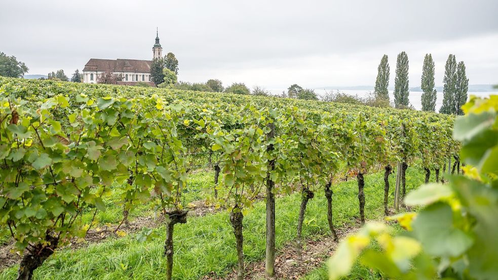 Wolkenverhangen zeigten sich große Teile Deutschlands in diesem Monat. (Archivbild) Foto: Silas Stein