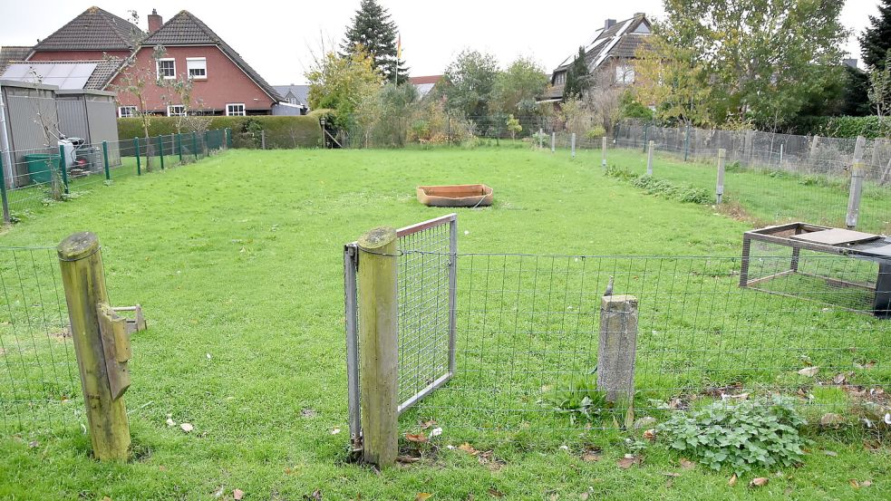 Ausgeflogen: Das Gehege der drei Emder Gänse auf dem Grundstück von Ludwig Smidt in Marienhafe ist verwaist. Foto: Thomas Dirks