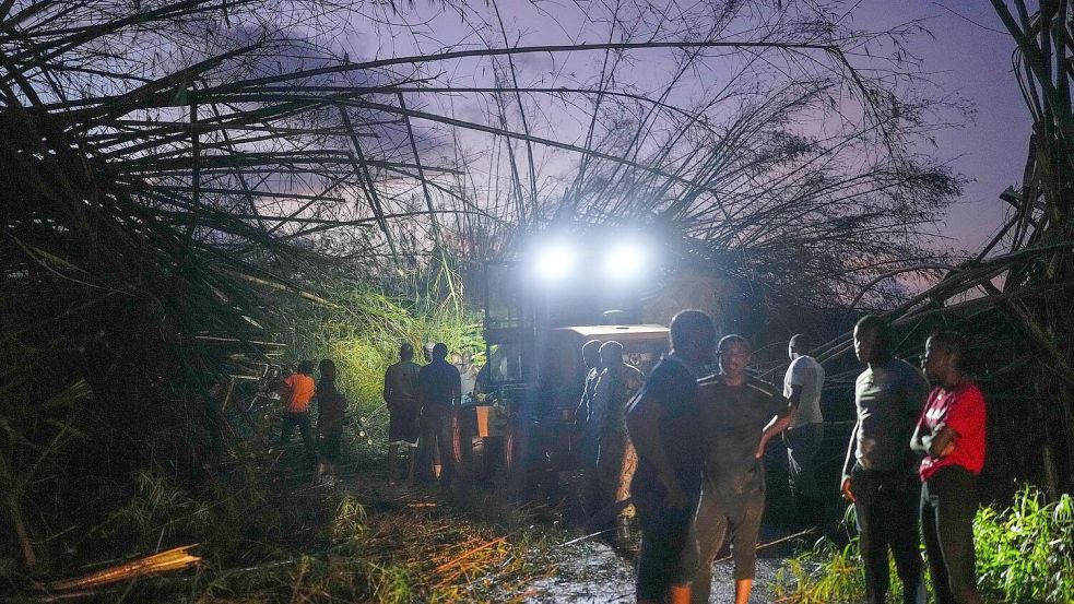 Arbeiter räumen umgestürzte Bäume und Trümmer beiseite. Foto: Matias Delacroix/AP/dpa