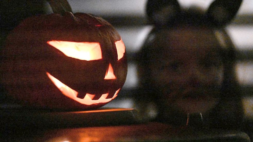 Halloween war in der Region Osnabrück nicht immer nur ein harmloser Grusel-Spaß. Die Polizei verzeichnet zahlreiche Einsätze, die offenbar in einem Zusammenhang zu Halloween-Feiern stehen. Foto: Swen Pförtner/dpa