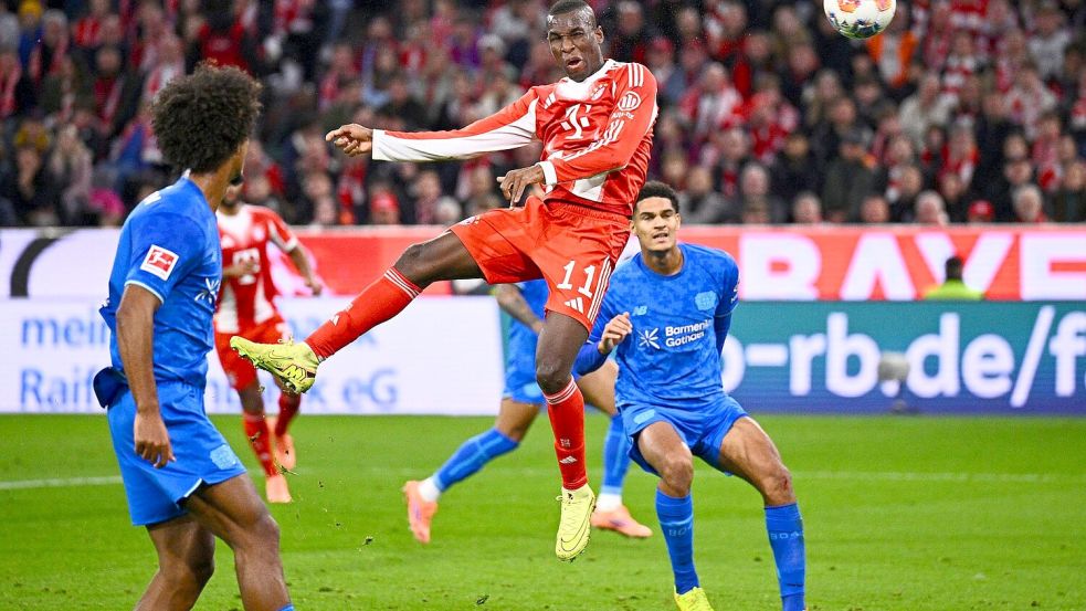 Loïc Badé (l) schaute erst beim Kopfball von Nicolas Jackson zu, traf später ins eigene Tor. Foto: Tom Weller