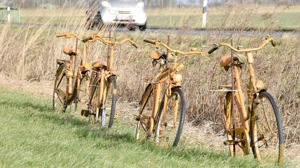Als „Mahnmal“ für den von ihnen geforderten Radweg haben Schoonorther Bürger entlang der Landesstraße 4 orange lackiert alte Räder aufgestellt. Foto: Thomas Dirks
