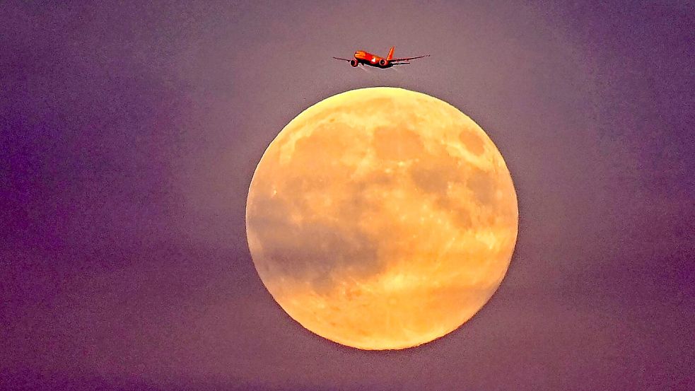 Der sogenannte Supermond ist der größte Vollmond des Jahres. Foto: Jennifer Brückner