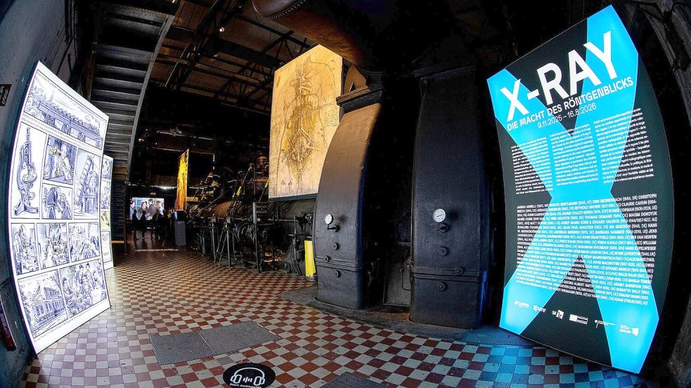 Auf über 6.000 Quadratmetern kann die Ausstellung „X-Ray - Die Macht des Röntgenblicks“ besichtigt werden. Foto: Laszlo Pinter