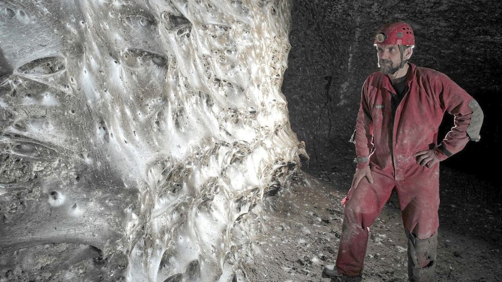 Ein Wissenschaftler vor dem riesigen Spinnennetz Foto: Marek Audy/Urak et al. 2025, Sub