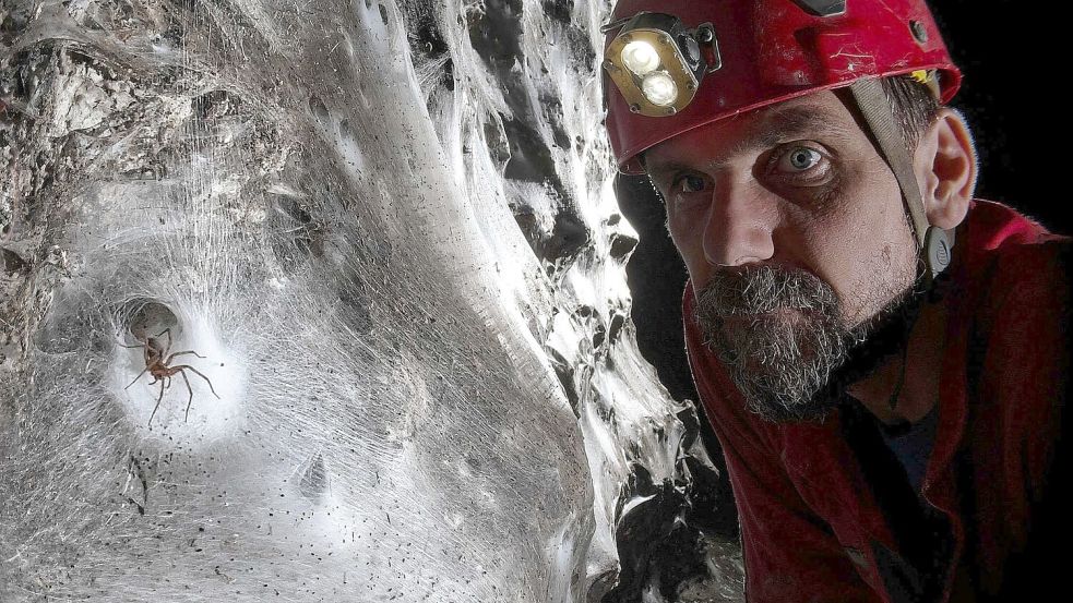 Ein Wissenschaftler vor dem riesigen Spinnennetz Foto: Marek Audy/Urak et al. 2025, Sub