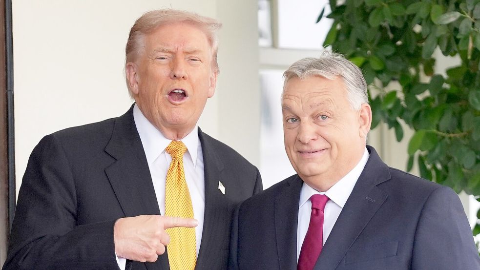 Trump und Orban sind in vielen Fragen einer Meinung. Foto: Evan Vucci/AP/dpa