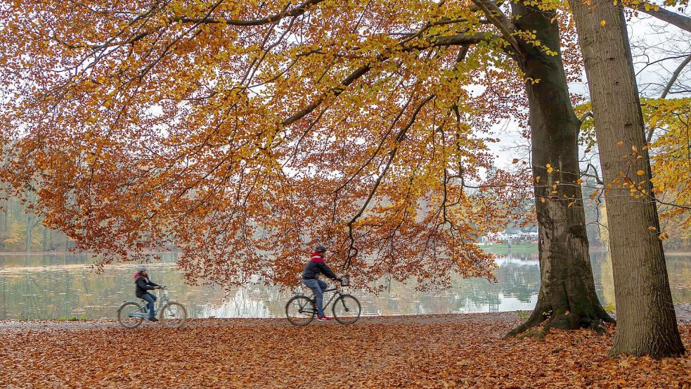 Nach den trüben Tagen steigen die Temperaturen im Laufe der Woche wieder. Foto: IMAGO/Manngold