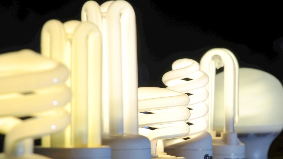 Leuchtende Energiesparlampen: Die Stadtwerke Norden kündigen eine Strompreissenkung an. Foto: DPA