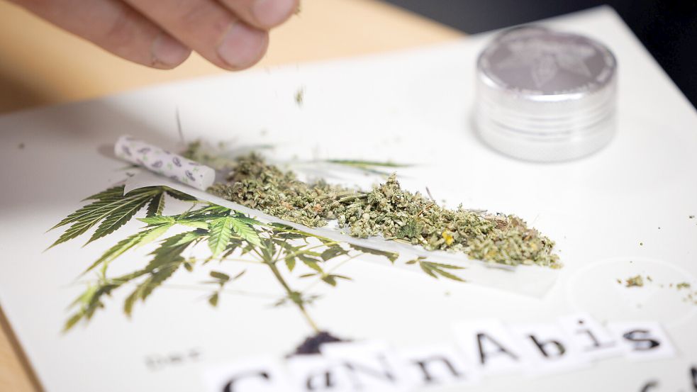 Unter anderem wegen des gewerbsmäßigen Handelns mit Cannabis wurde der Mann verurteilt. Foto: DPA