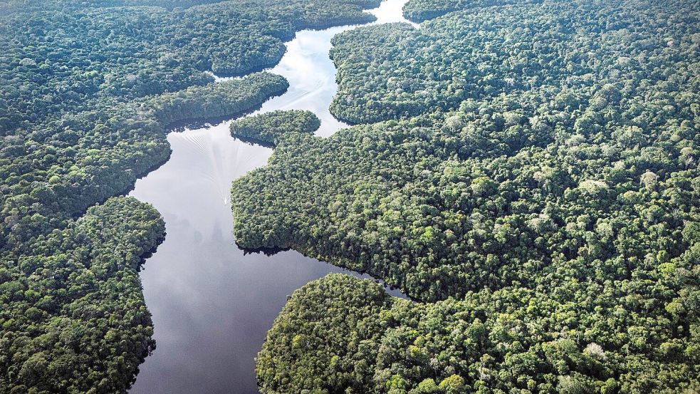 Der Amazonas: extrem wichtig fürs Klima, aber enorm unter Stress. (Archivbild) Foto: Jorge Saenz/AP/dpa