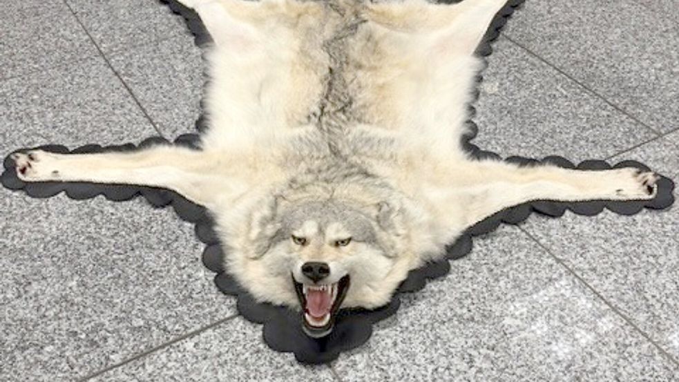 Der Zoll am Frankfurter Flughafen entdeckte ein Wolfsfell im Gepäck eines Reisenden. (Handout) Foto: -/Zoll/dpa