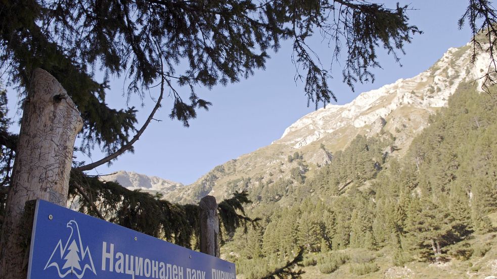Jahrelang soll der verschwundene Bulgare im Pirin Nationalpark in Bulgarien gelebt haben. Foto: IMAGO/blickwinkel