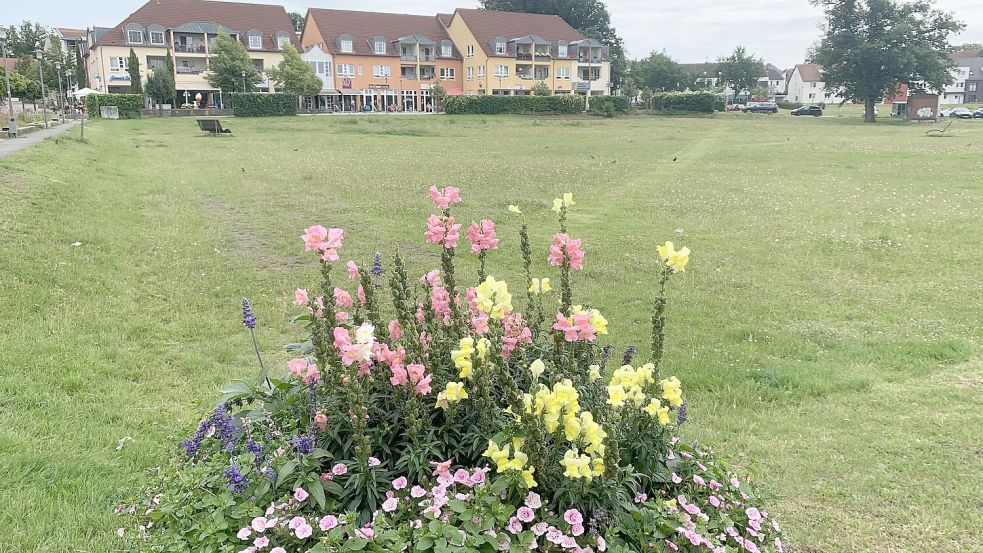 Wie lebt es sich in Wallenhorst? Die Ergebnisse des NOZ-Checks für den Landkreis Osnabrück geben Aufschluss. Foto: Marcus Alwes