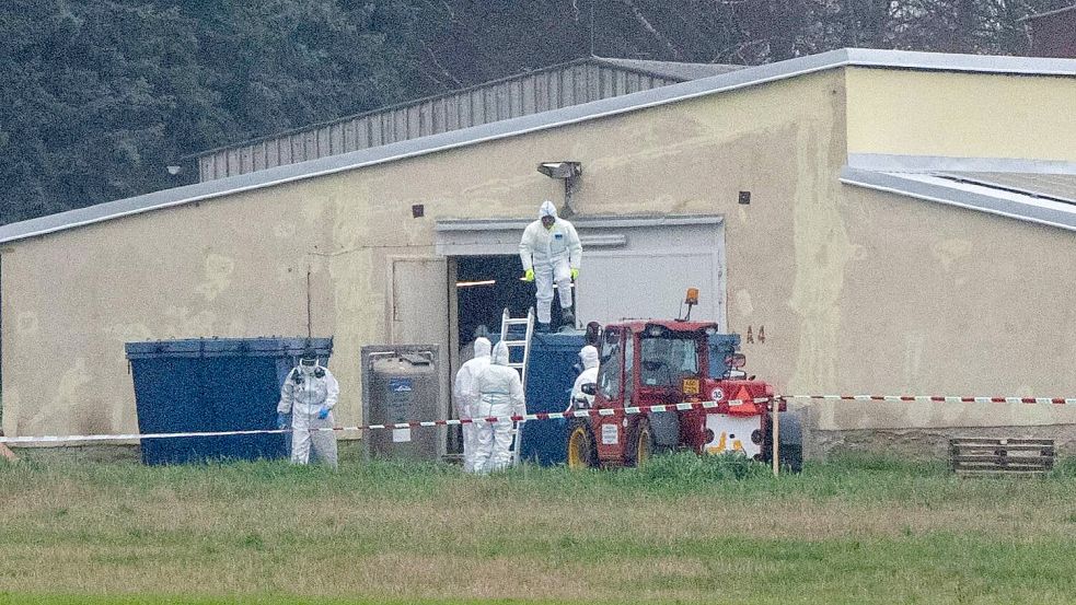 In ganz Europa verbreitet sich die Vogelgrippe: Millionen von Tieren werden gekeult. Foto: IMAGO/Josef Vostarek