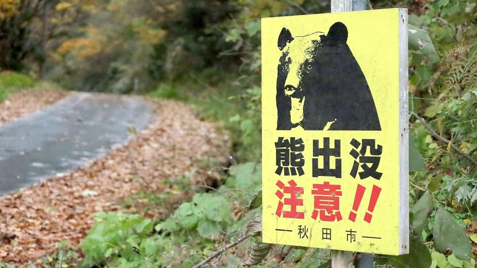Laut Behördenangaben wurden seit April landesweit 13 Menschen von Bären getötet. (Archivbild) Foto: Uncredited/kyodo/dpa