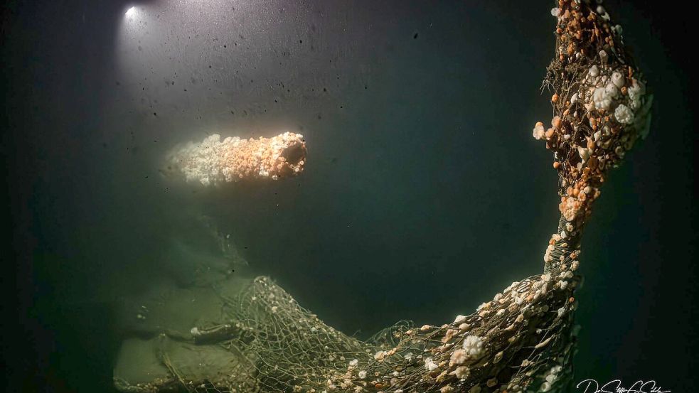 Die Tauchgänge fanden nach Angaben des Teams in großer Tiefe und unter herausfordernden Bedingungen statt. Foto: Dr. Steffen G. Scholz/ProjectXpl