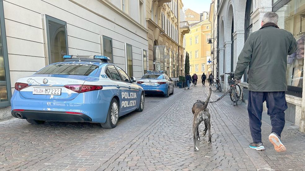 Südtirol verzichtet nun doch auf eine Art Hunde-Kurtaxe. (Archivbild) Foto: Christoph Sator/dpa