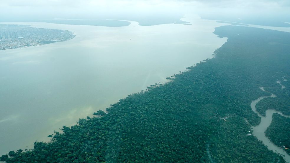 Durch den an die Millionenstadt Belém grenzenden Wald fließt der Fluss Guama. Foto: Larissa Schwedes