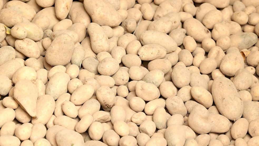 Die Deutschen schätzen und lieben sie: Die Kartoffel. Foto: IMAGO/Rene Traut