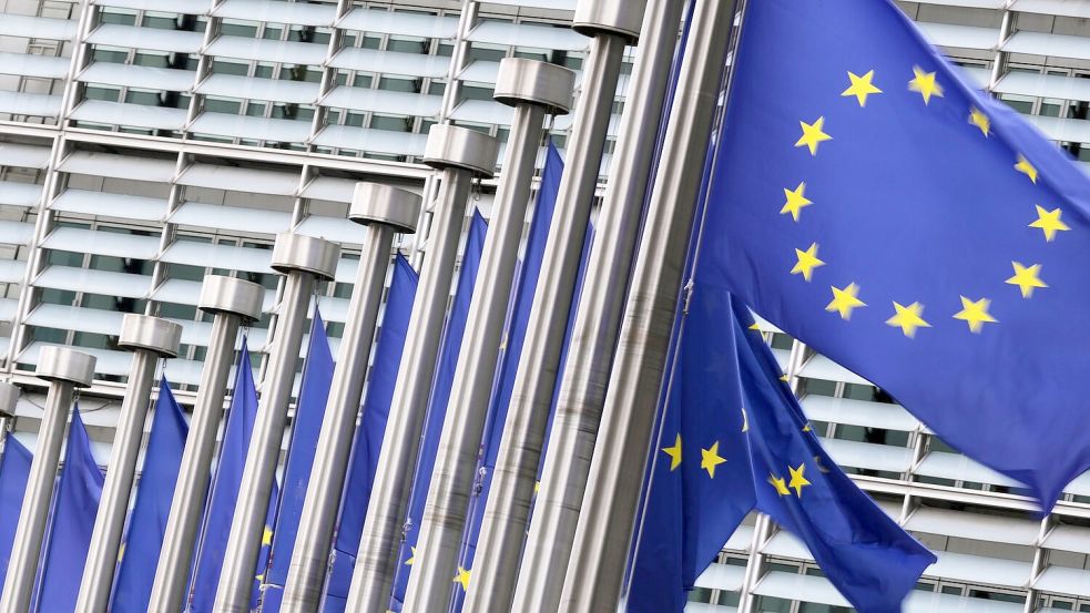 Die EU-Kommission nimmt Dienste von Amazon und Microsoft unter die Lupe. (Symbolbild) Foto: Virginia Mayo/AP/dpa