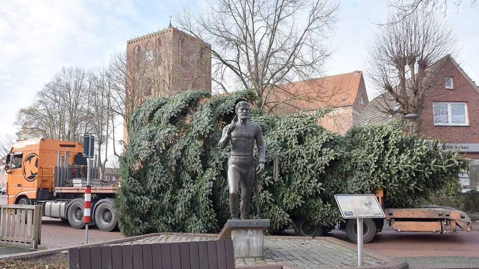 Der Tieflader mit dem Weihnachtsbaum erreicht das Störtebeker-Denkmal am Marienhafer Markt. Foto: Thomas Dirks