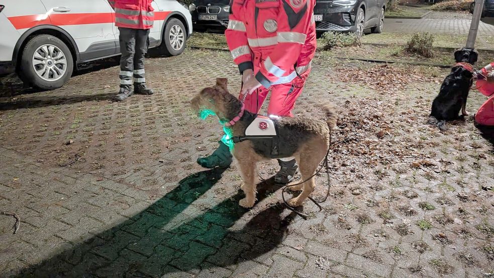 Auch Rettungshundestaffeln beteiligten sich in Voxtrup an der Suche nach dem Kind. Foto: NWM-ZV