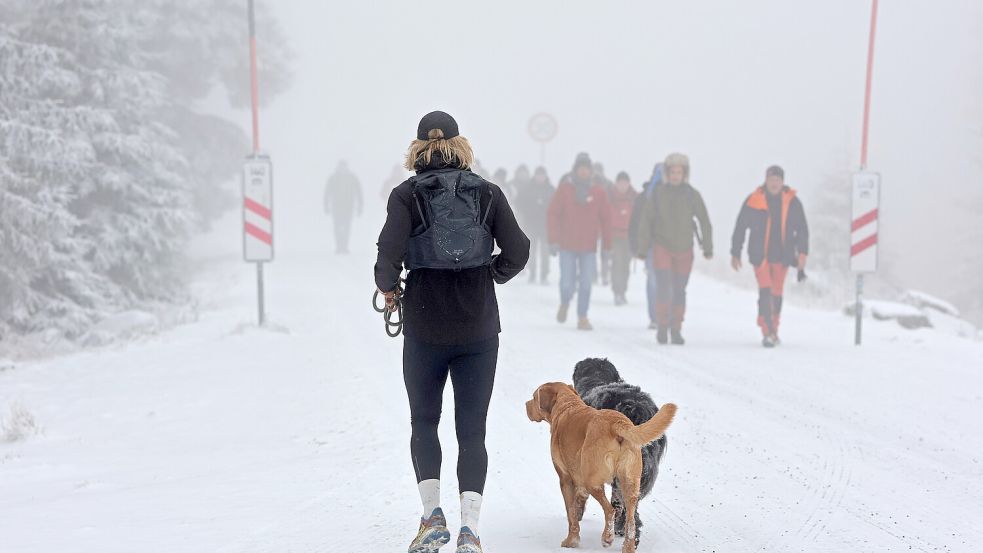 Wintereinbruch: Im Harz liegt schon seit ein paar Tagen Schnee. Foto: dpa/Matthias Bein