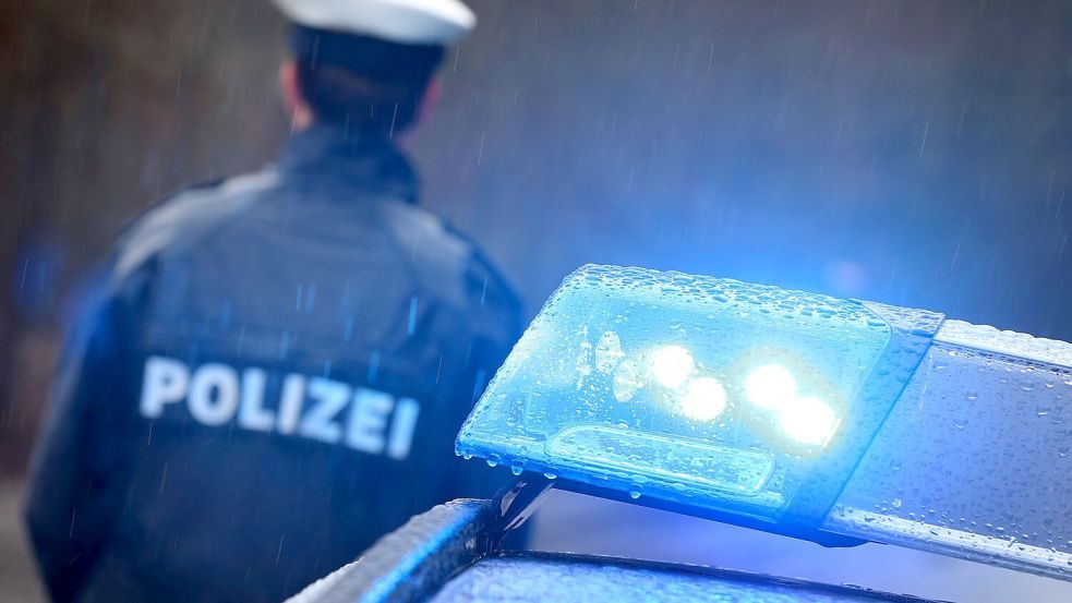 Die Forscher untersuchten 292 Fälle, die in die Polizeiliche Kriminalstatistik (PKS) eingegangen sind. (Symbolbild) Foto: Karl-Josef Hildenbrand
