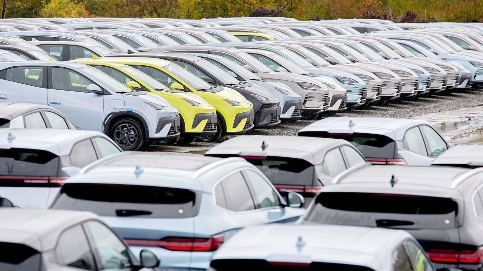 Elektroautos von BYD: Das Unternehmen stand in den ersten drei Quartalen für fast ein Viertel der chinesischen Produktion. (Archivbild) Foto: Hauke-Christian Dittrich