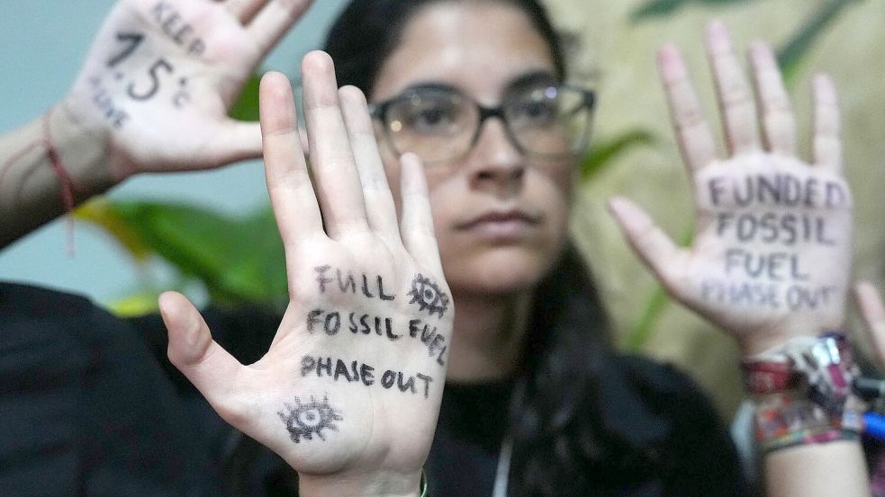 Auch Klimaaktivisten fordern ein Aus für fossile Energieträger. Foto: Joshua A. Bickel/AP/dpa
