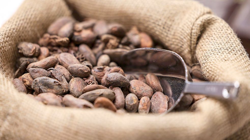 Teure Kakao-Importe sorgen für hohe Schokoladenpreise. Foto: Oliver Berg