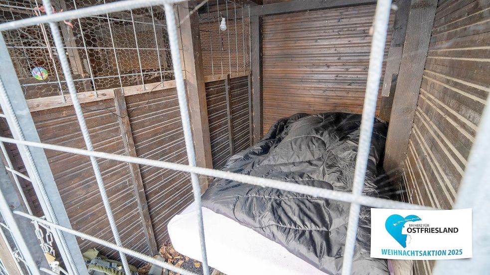 So sehen die Verschläge aus, in denen auch Tiere übernachten dürfen. Foto: Klaus Ortgies