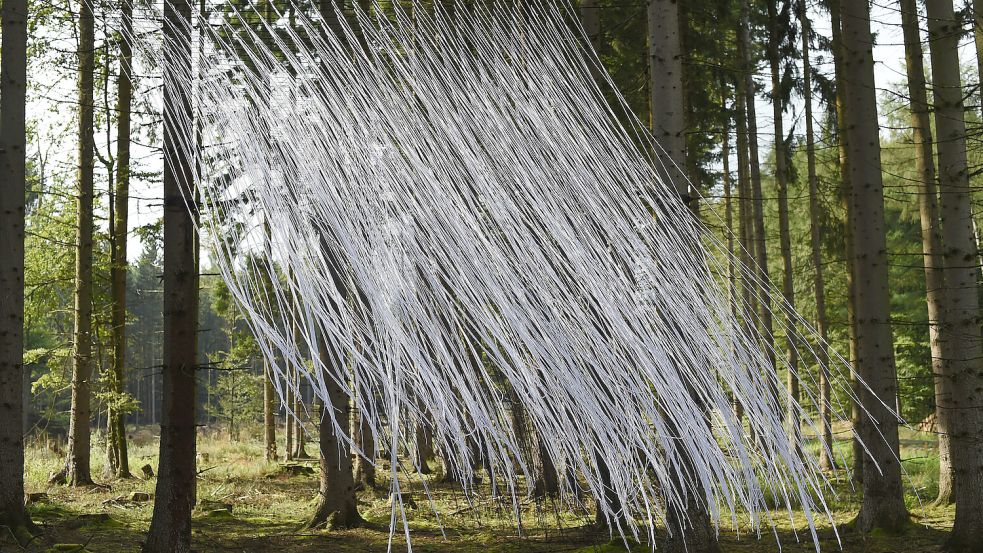 In Nordhessen gibt es das regelmäßig stattfindende Kunstfestival „Bewegter Wind“. Nach Meinung von Ratsfrau Heidrun Weber könnte auch Aurich mit Installationen zum Thema Wind punkten. Foto: DPA