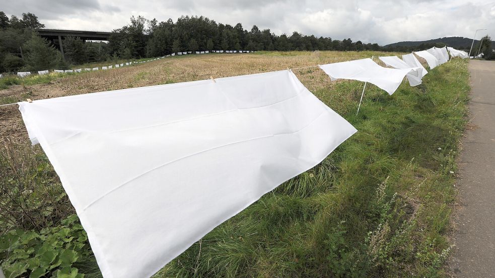 Auch diese sehr lange Wäscheleine gehörte zu den Installationen von „Bewegter Wind“ und führt Tradition und Moderne zusammen. Foto: DPA