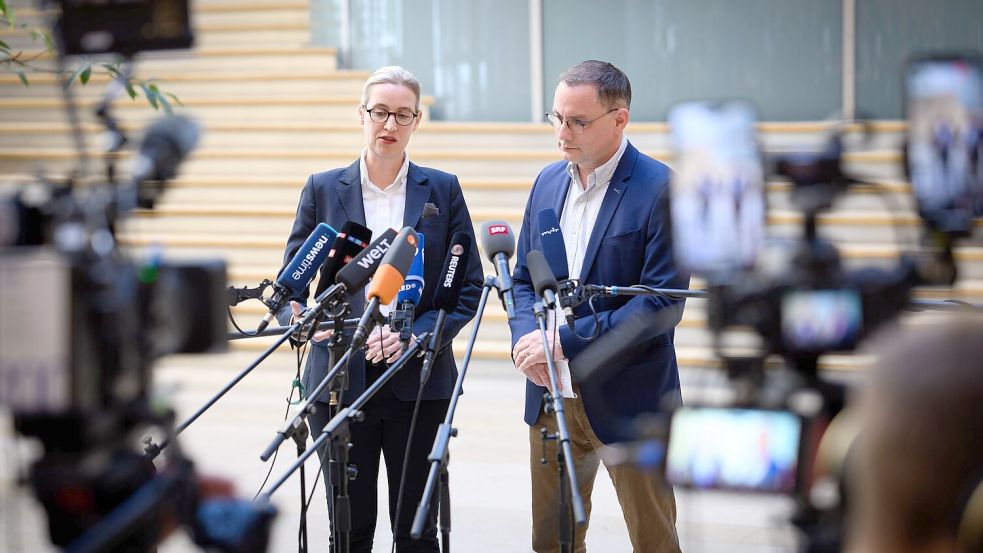 Die AfD wird vorerst vom Bundesamt für Verfassungsschutz weiter als rechtsextremistischer Verdachtsfall eingestuft. (Archivbild) Foto: Bernd von Jutrczenka/dpa