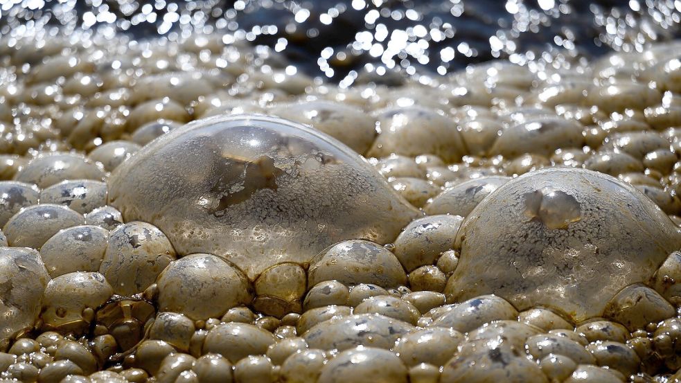 Abwasser wird im Belebungsbecken einer Kläranlage behandelt. Foto: DPA