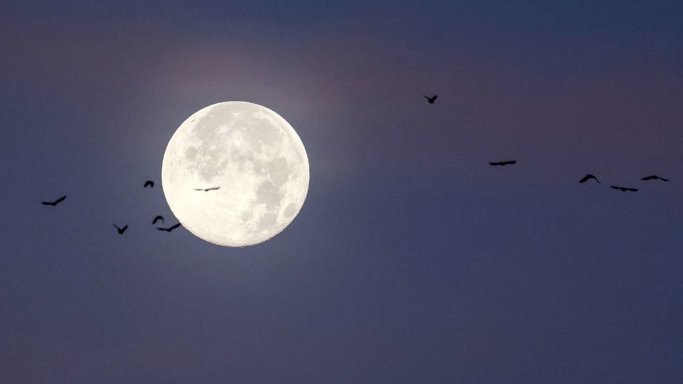 Der letzte Vollmond des Jahres wird auch „Cold Moon“ oder „Julmond“ genannt. (Archivbild) Foto: Christian Charisius