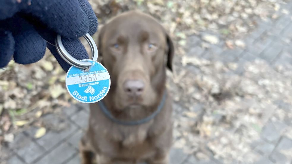 Hundebesitzer in Norden müssen ab dem 1. Januar keine Hundemarken mehr kaufen. Foto: Rebecca Kresse