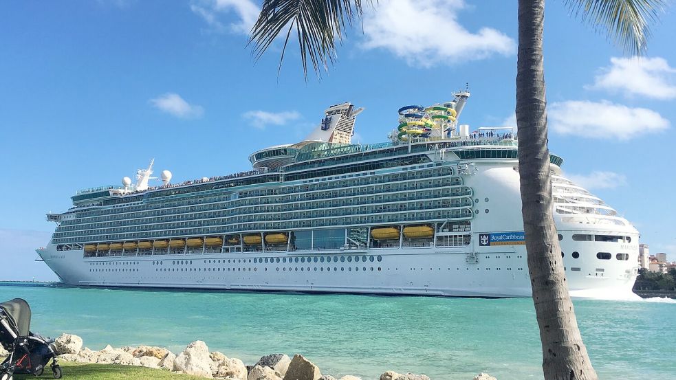 Bereits am ersten Tag ihrer Kreuzfahrt ereignete sich die Tragödie: Michael Virgil hinterlässt eine Frau und einen Sohn (7). Foto: IMAGO/Pond5 Images