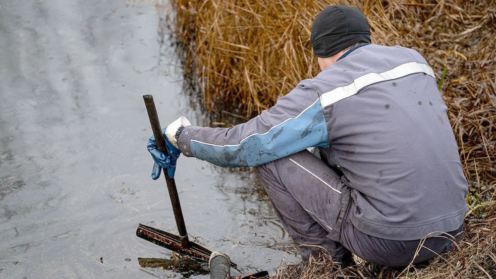 Aufräumen nach dem Unglück: Arbeiter bei Gramzow. Foto: Fabian Sommer/dpa