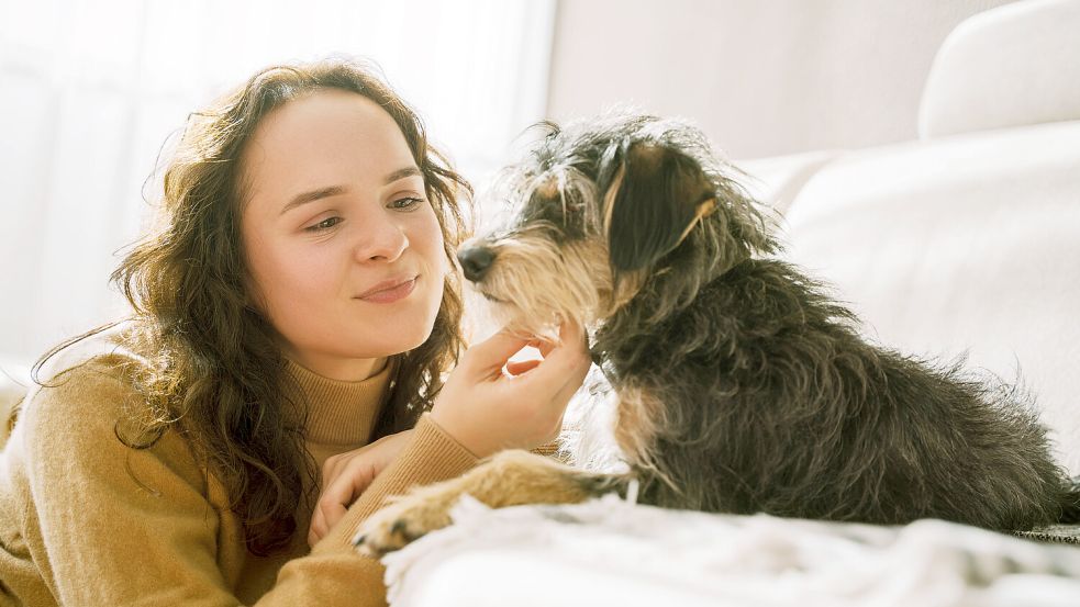 Haustiere wie Hunde und Katzen haben einen positiven Effekt auf Beziehungen. Foto: IMAGO/Westend61